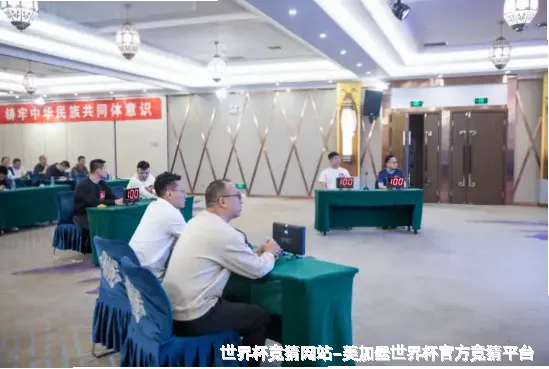 核心团队与专业资质
