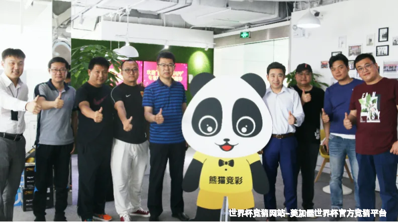 未来愿景与发展方向